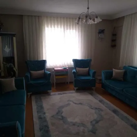 Suruloglu *